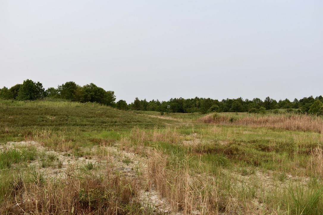 0 Schultz Road Elberfeld, IN 47613 - Photo 3 of 17