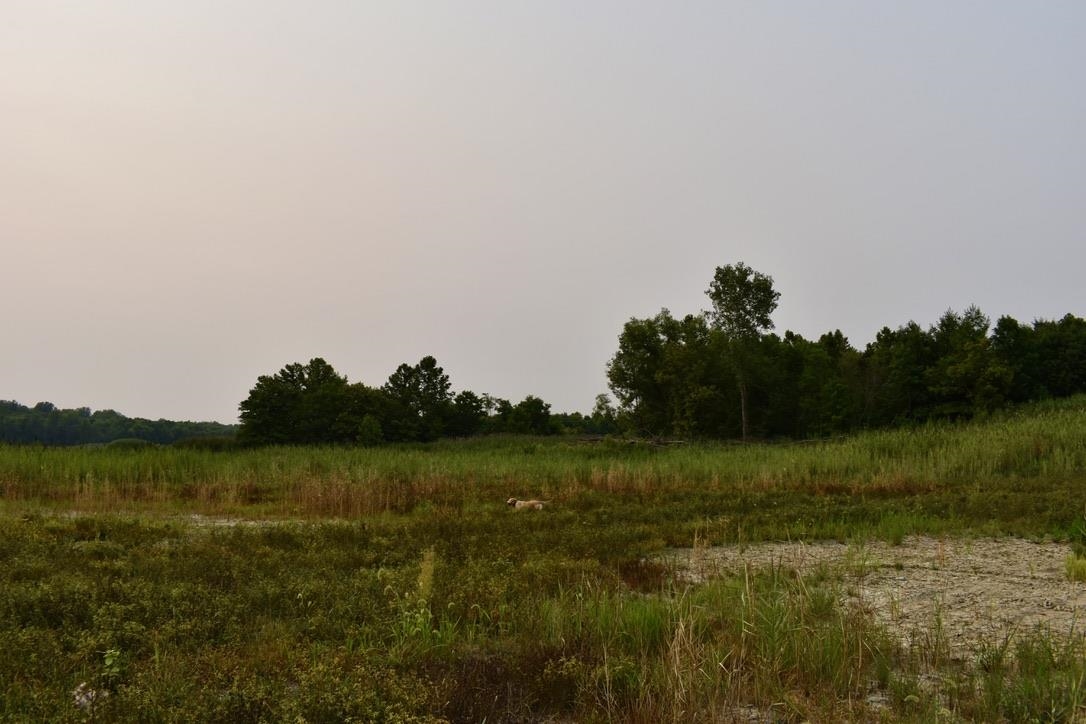 0 Schultz Road Elberfeld, IN 47613 - Photo 4 of 17