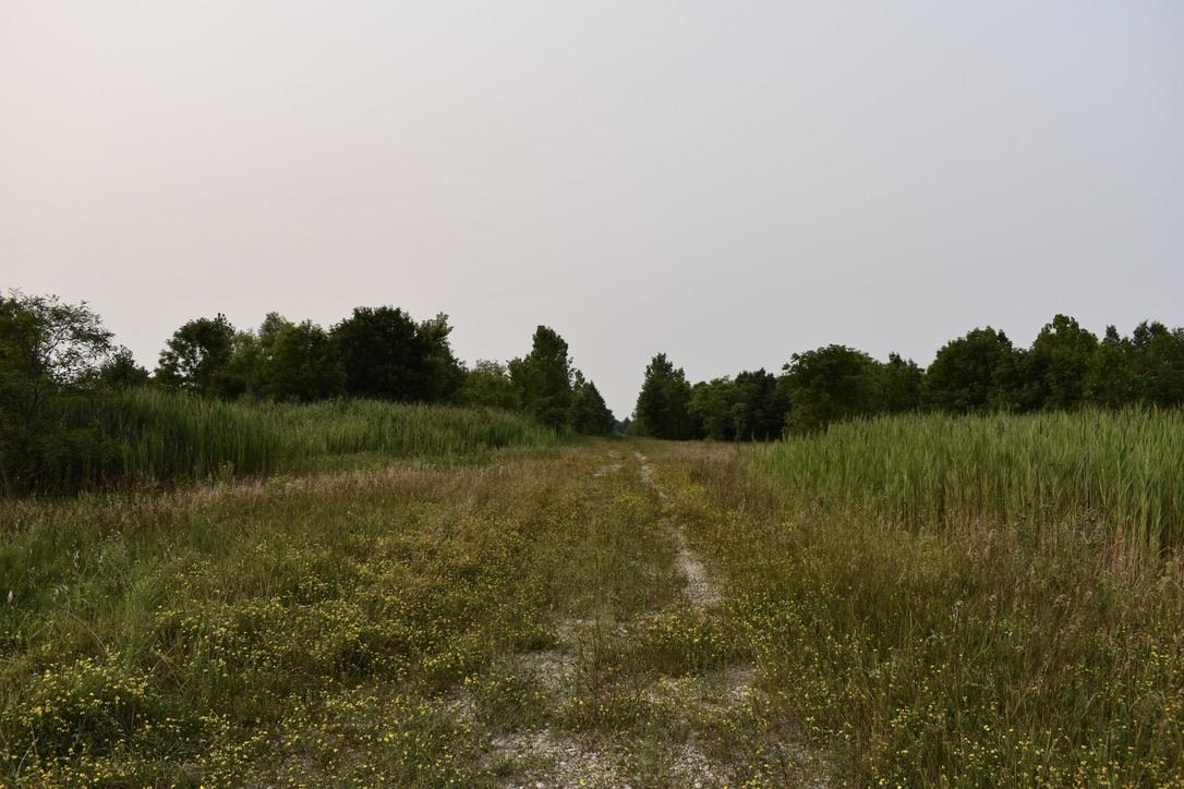 0 Schultz Road Elberfeld, IN 47613 - Photo 7 of 17