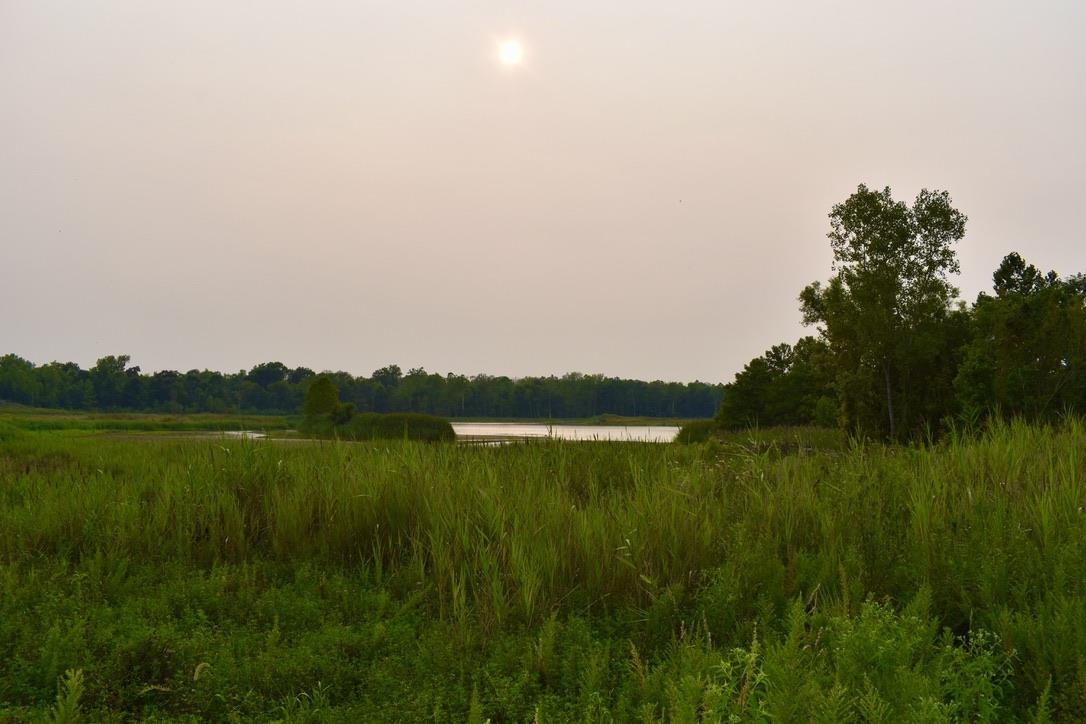 0 Schultz Road Elberfeld, IN 47613 - Photo 8 of 17