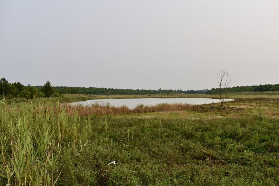 0 Schultz Road Elberfeld, IN 47613 - Photo 10 of 17