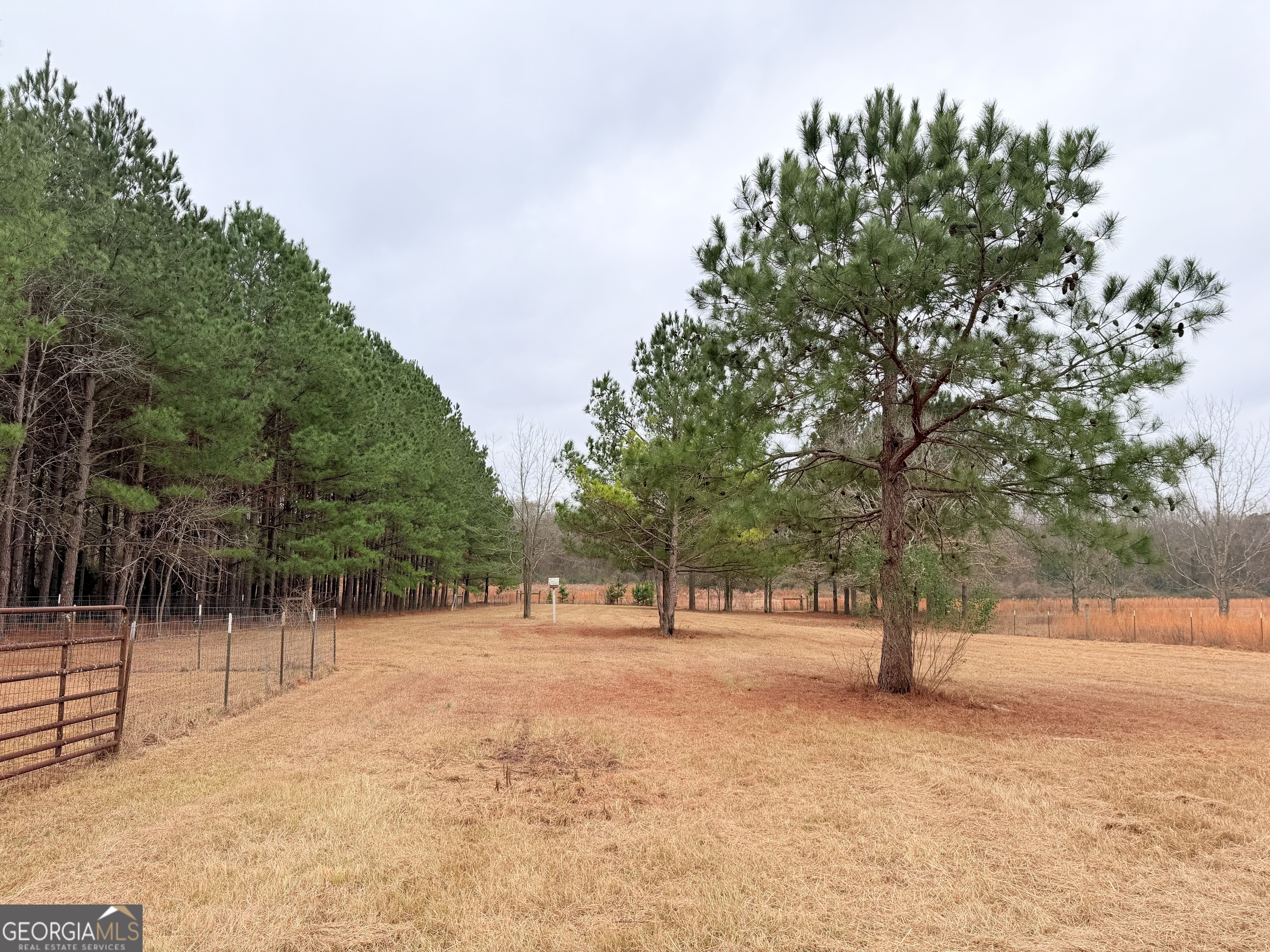 788 Ellis Road Elko, GA 31025 - Photo 33 of 46