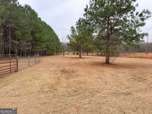 a view of dirt yard with a trees