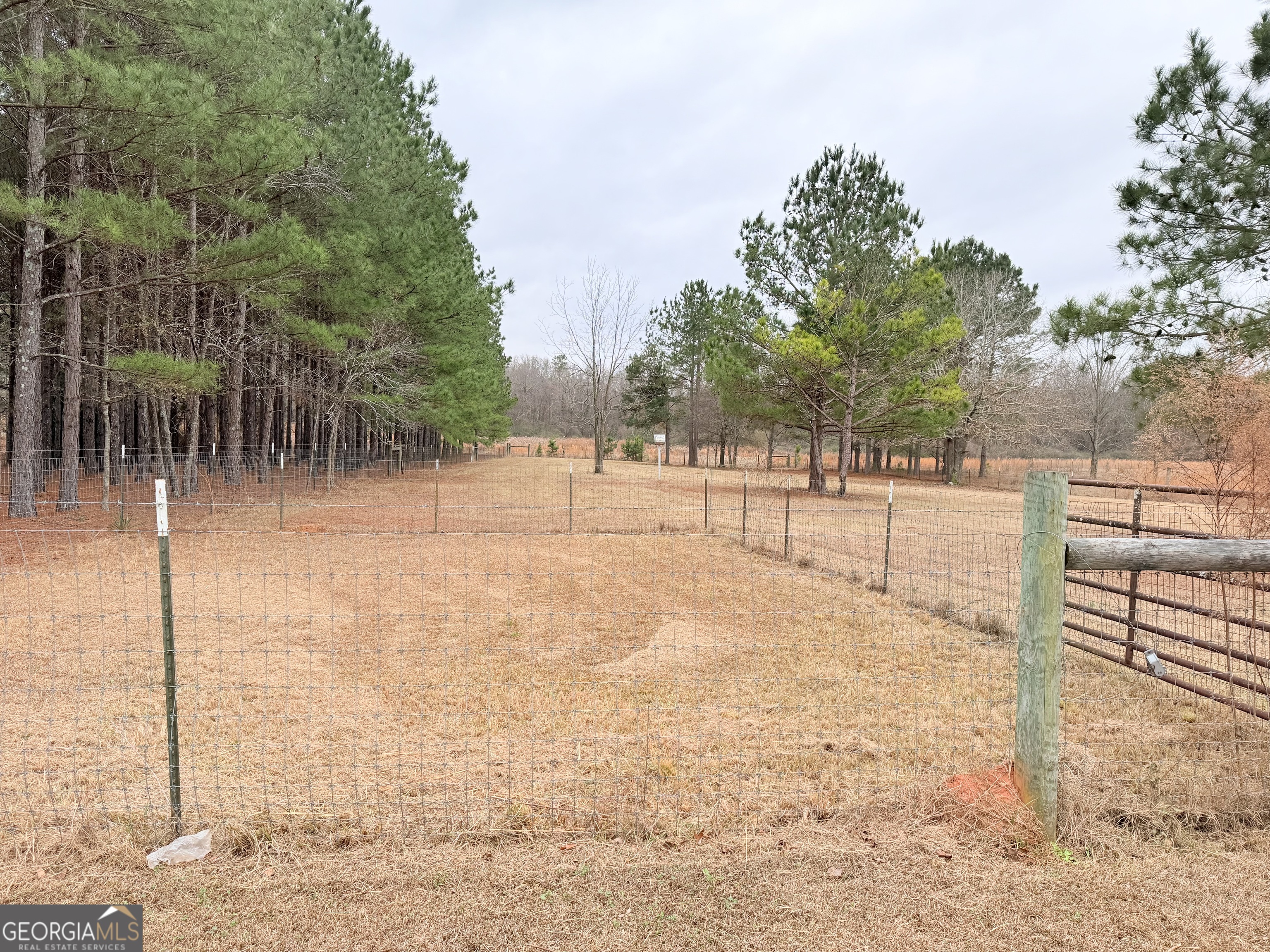 788 Ellis Road Elko, GA 31025 - Photo 36 of 46