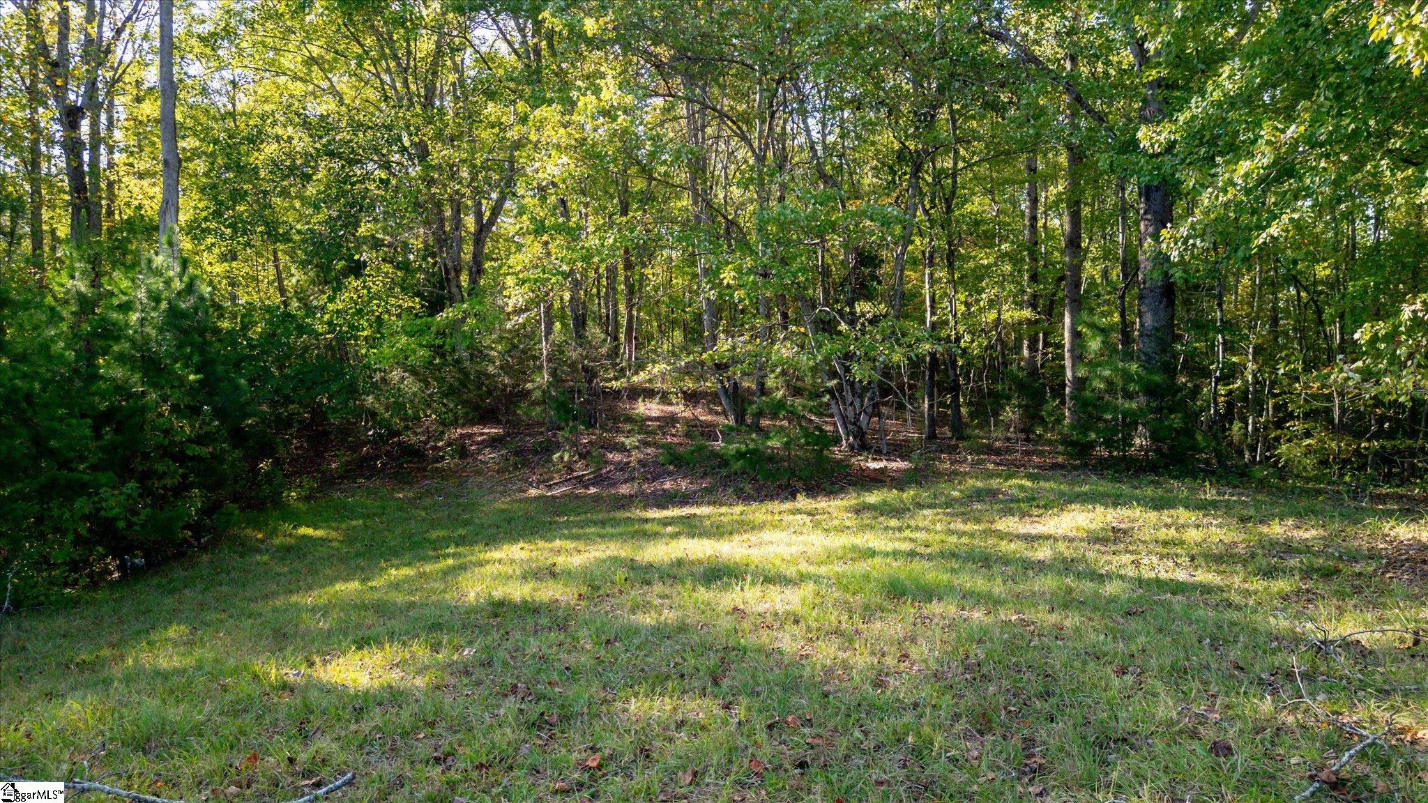 154 Ridgedale Road Six Mile, SC 29682 - Photo 36 of 40