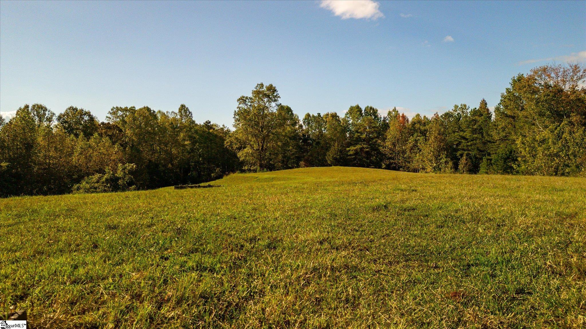 154 Ridgedale Road Six Mile, SC 29682 - Photo 4 of 40