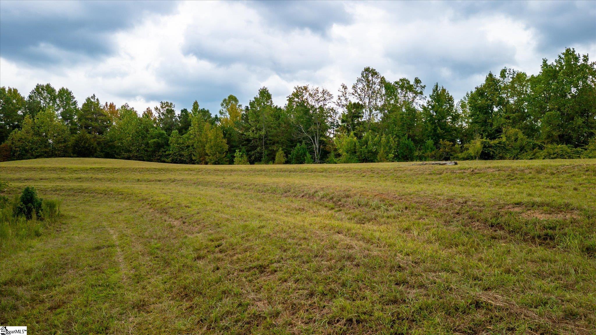 154 Ridgedale Road Six Mile, SC 29682 - Photo 5 of 40