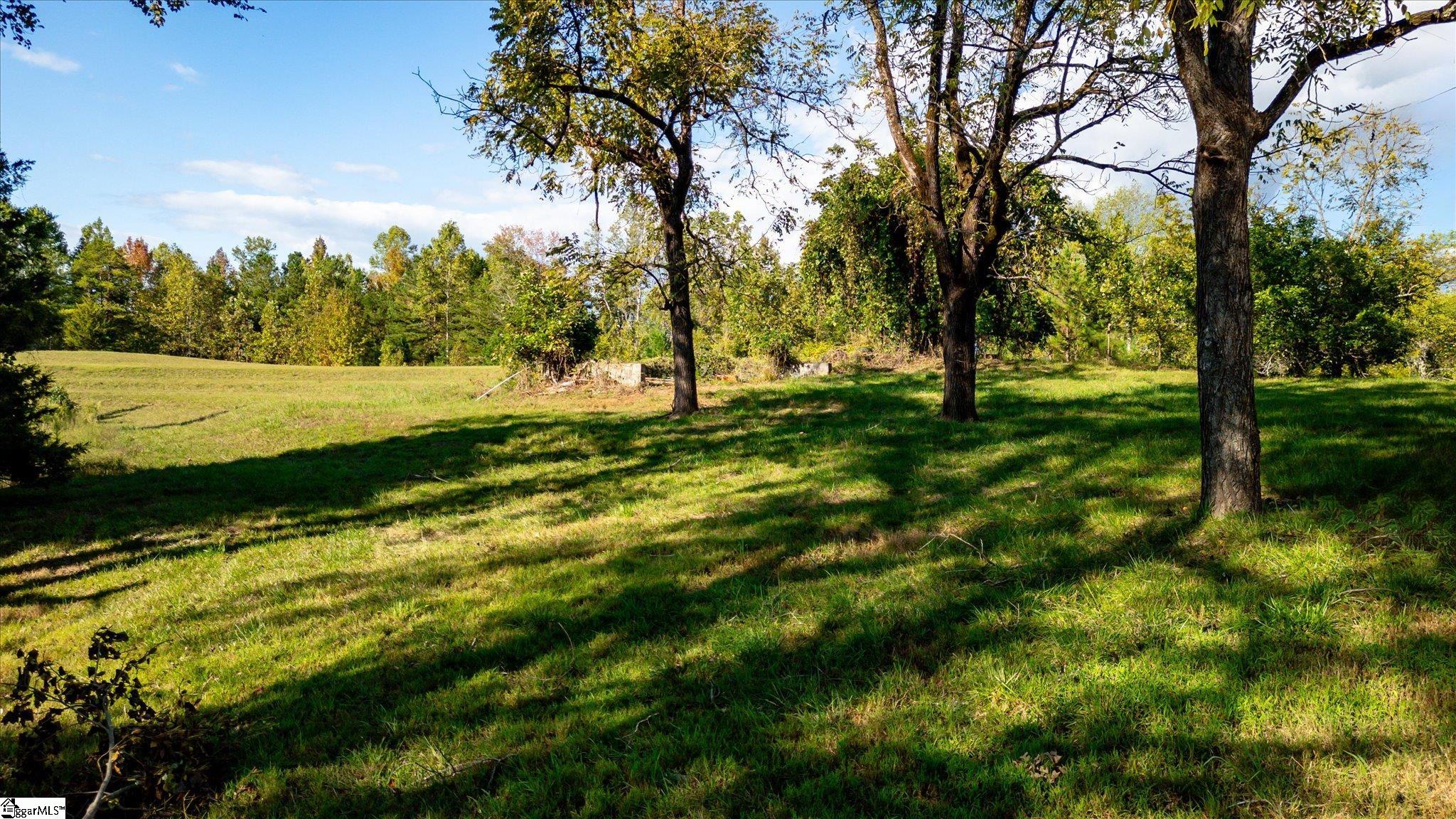 154 Ridgedale Road Six Mile, SC 29682 - Photo 9 of 40