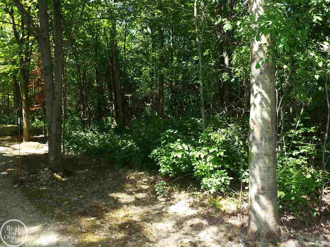 10419 Bryce Road Avoca, MI 48006 - Photo 7 of 21 31298189-6.JPG
