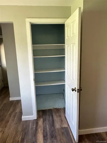 a view of walk in closet with wooden floor and closet