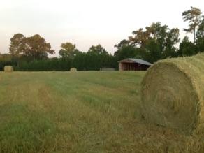 981 Bennett Road Ellerbe, NC 28338 - Photo 30 of 30 image