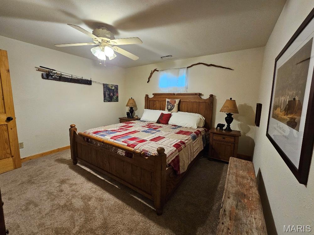 Undisclosed Address Myrtle, MO 65778 - Photo 29 of 36