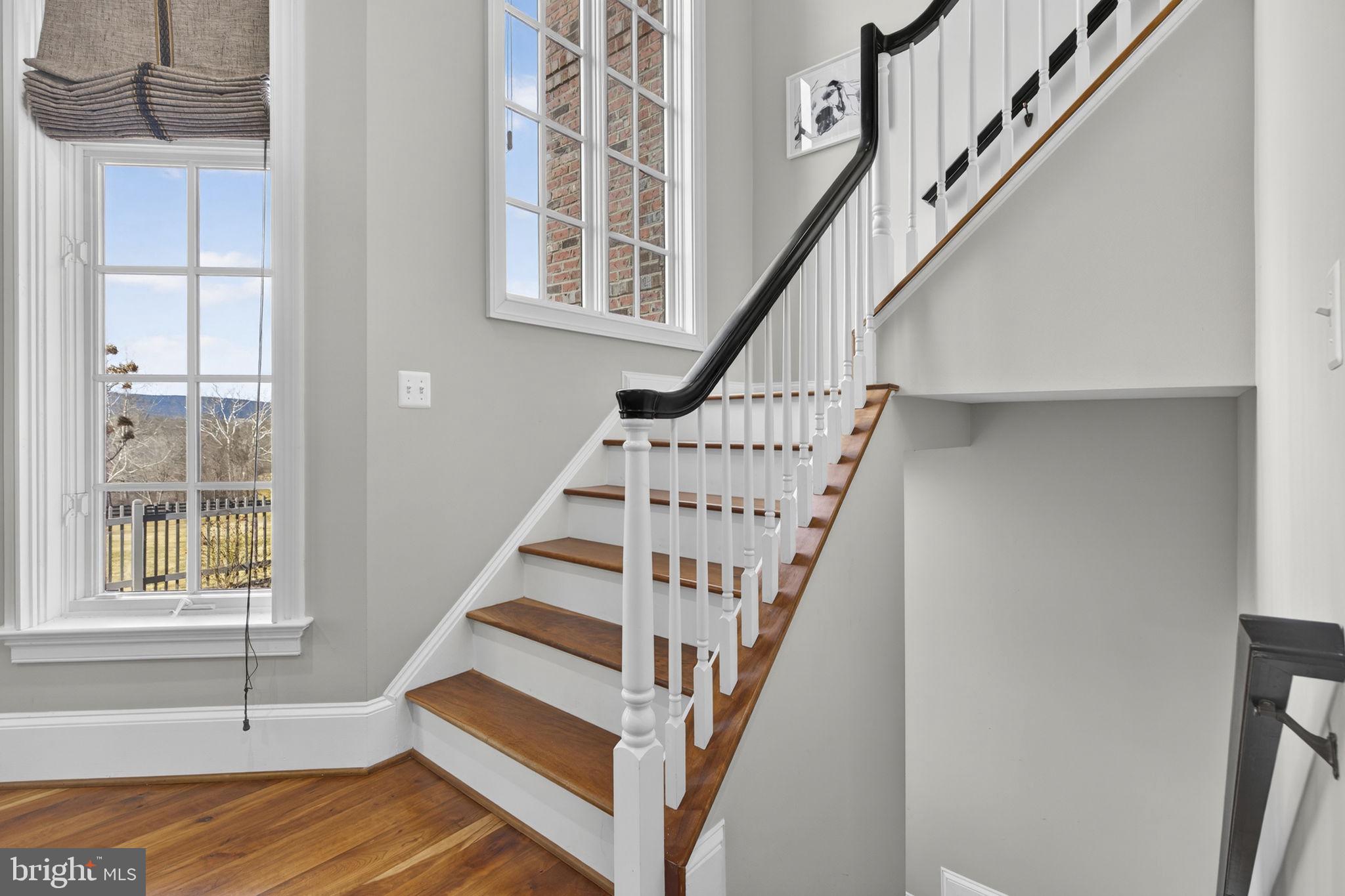 21051 St Louis Road Middleburg, VA 20117 - Photo 28 of 102