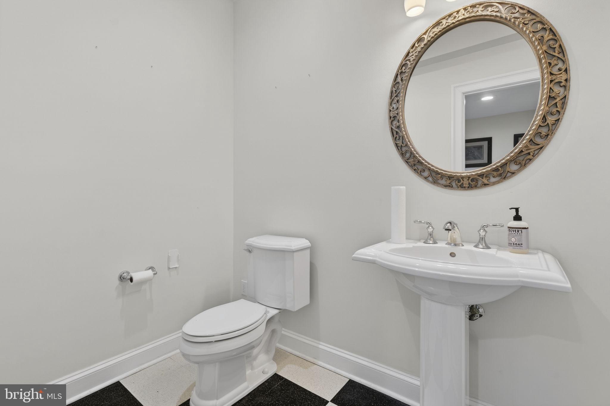 21051 St Louis Road Middleburg, VA 20117 - Photo 63 of 102