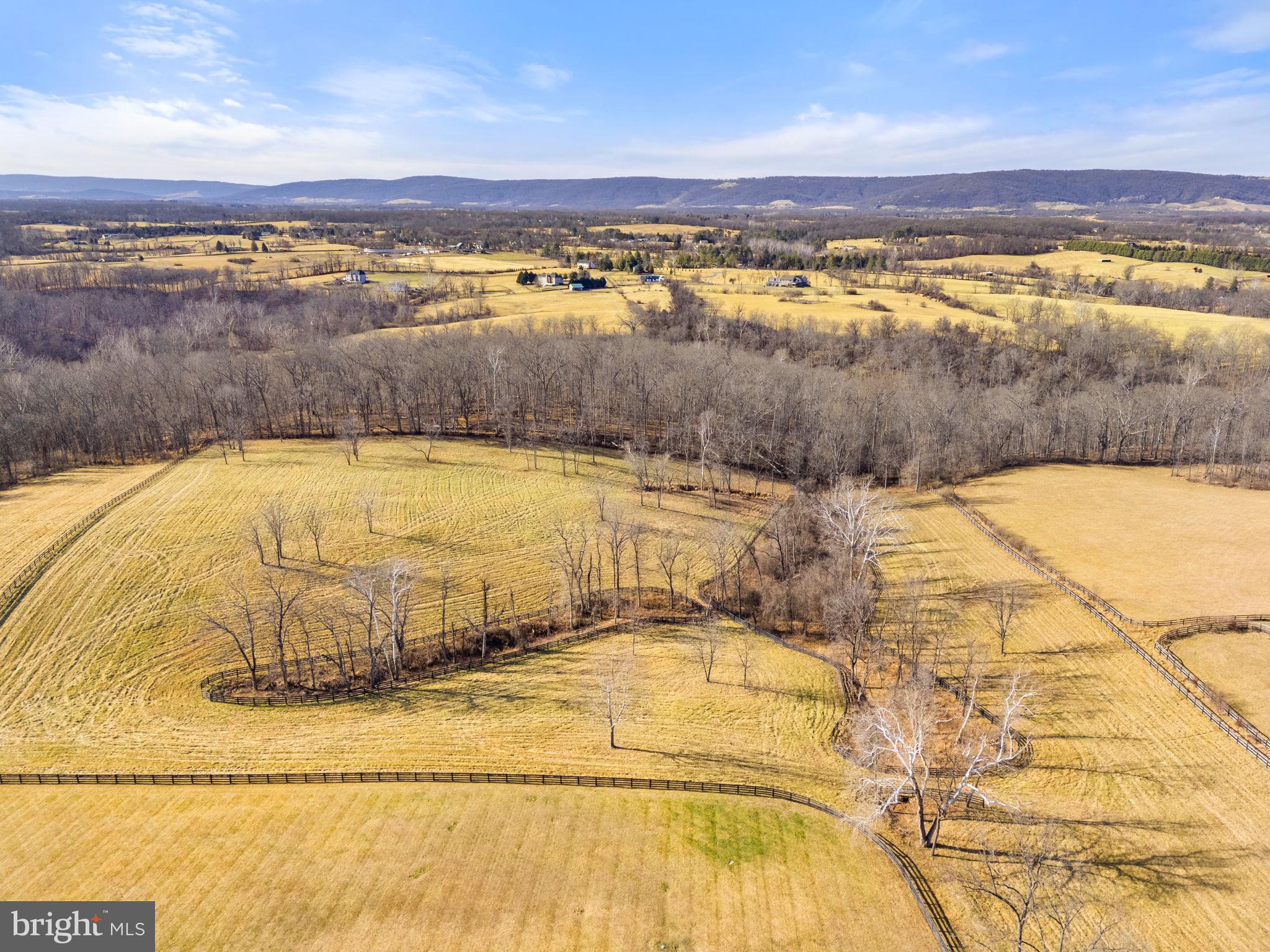 21051 St Louis Road Middleburg, VA 20117 - Photo 94 of 102