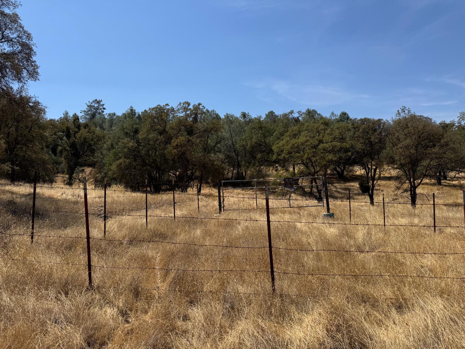 4944 Mary Harrison Mine Road Coulterville, CA 95311 - Photo 1 of 9