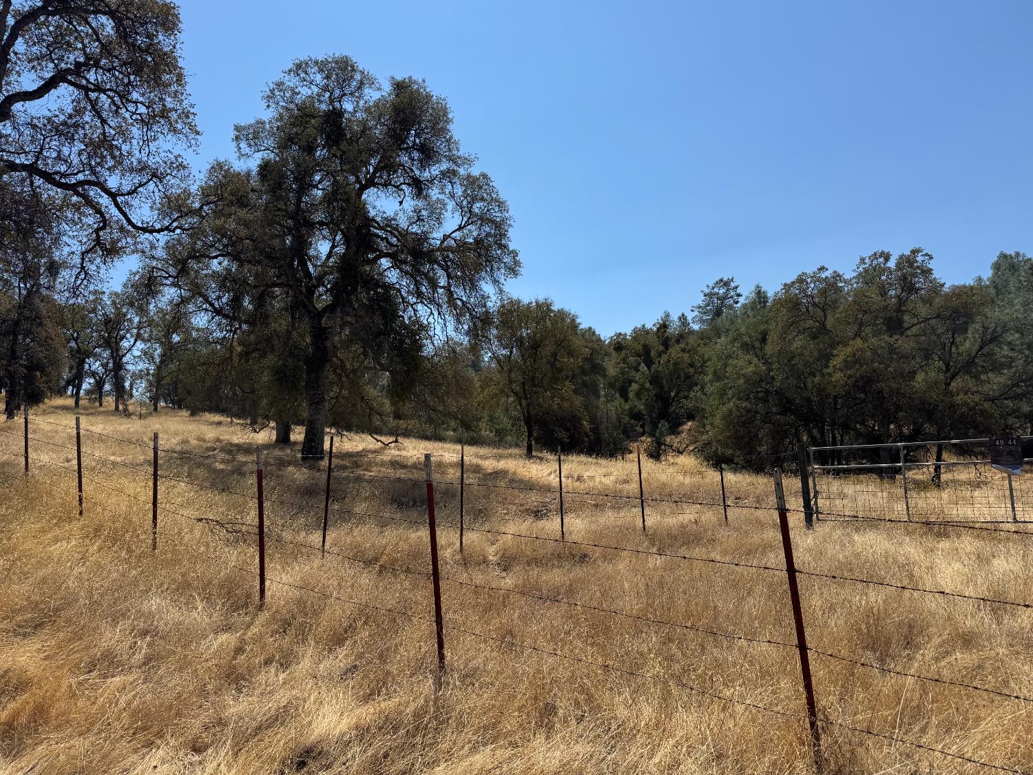 4944 Mary Harrison Mine Road Coulterville, CA 95311 - Photo 2 of 9