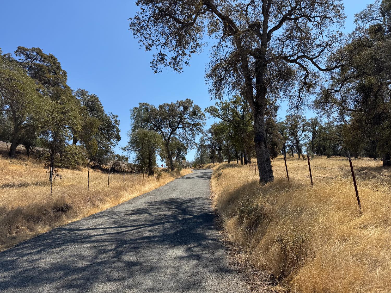 4944 Mary Harrison Mine Road Coulterville, CA 95311 - Photo 3 of 9