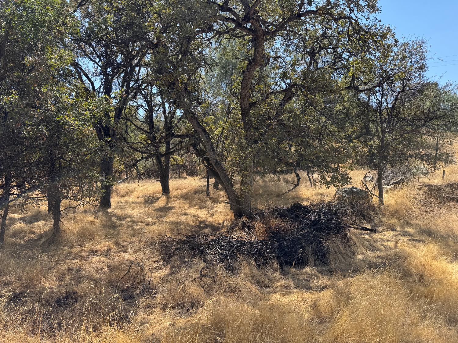 4944 Mary Harrison Mine Road Coulterville, CA 95311 - Photo 5 of 9