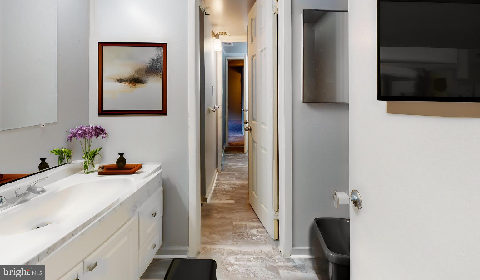 2612 Fort Farnsworth Road, Unit 262 Alexandria, VA 22303 - Photo 9 of 45 a bathroom with a sink and a mirror