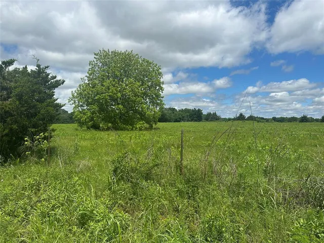 a view of a garden with an tree