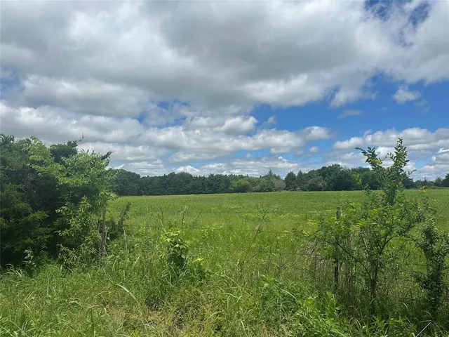 a view of a green field with lots of green space