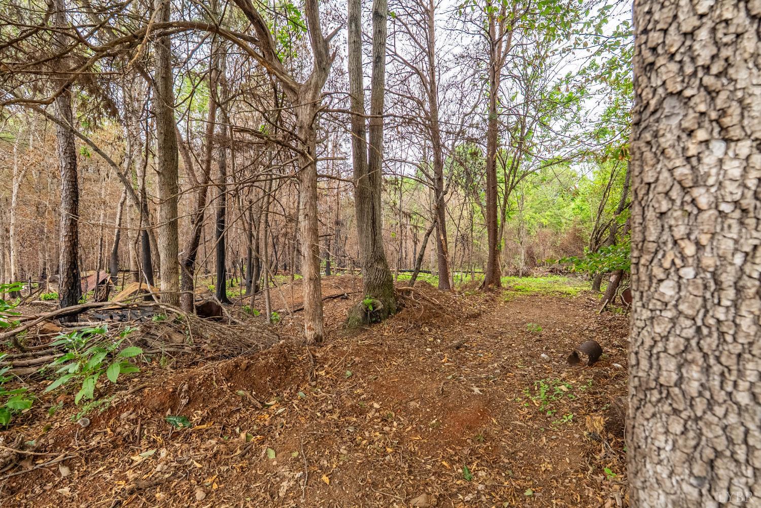 1553 Hubbard Road Long Island, VA 24569 - Photo 42 of 48