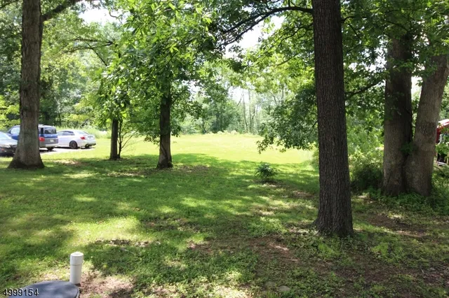 a view of yard with green space and trees