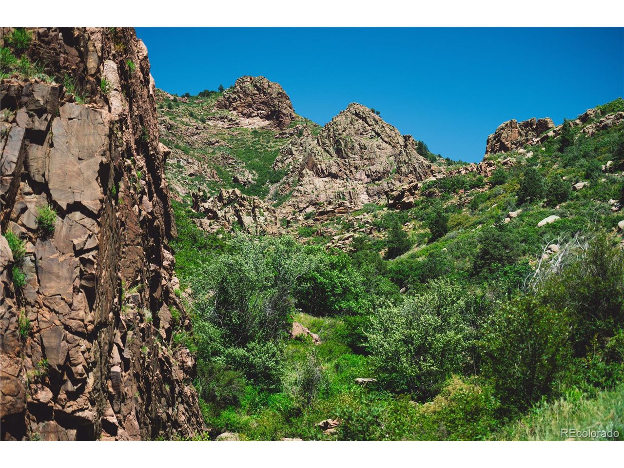 Shelf Road Victor, CO 80860 - Photo 2 of 41 a view of a large tree