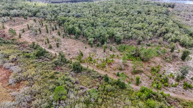$99,000 | Pine Log Road, Chipley, FL 32428