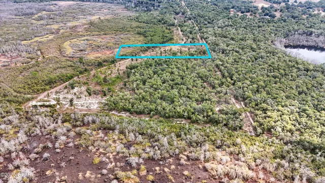 $99,000 | Pine Log Road, Chipley, FL 32428