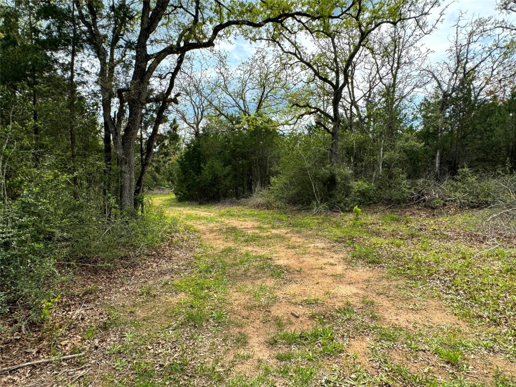 Undisclosed Address Harwood, TX 78632 - Photo 7 of 7 One of the Trails to Explore on the Property!