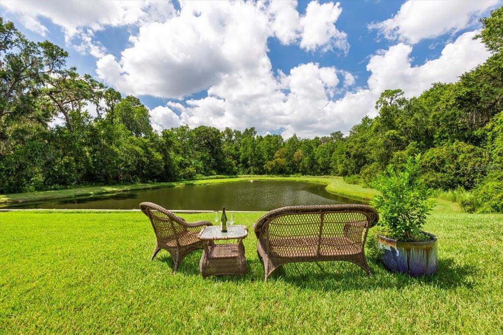 5120 Tari Stream Way Brandon, FL 33511 - Photo 13 of 35