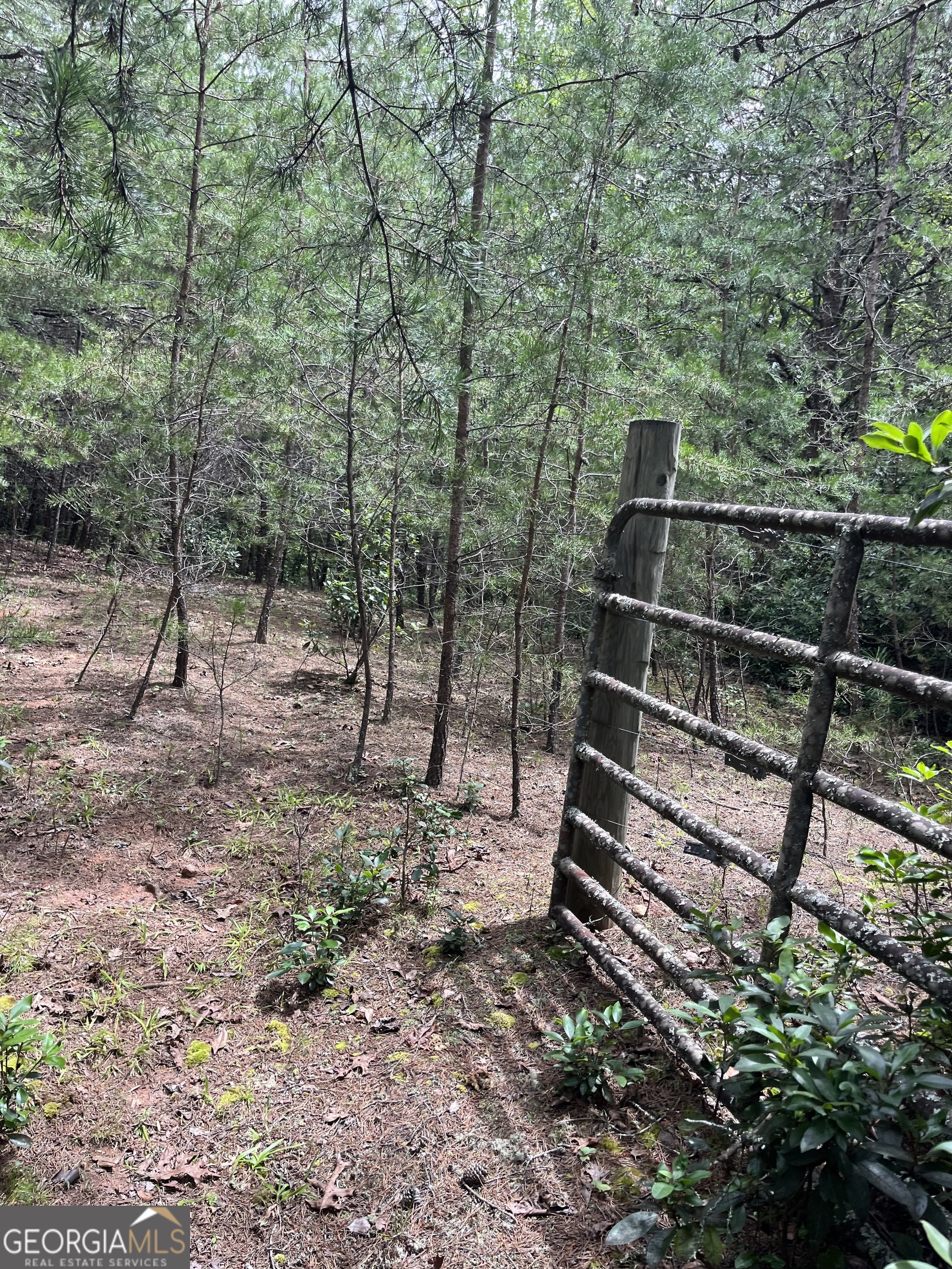 0 Windy Ridge Road Otto, NC 28763 - Photo 1 of 6 Gallery Image 1