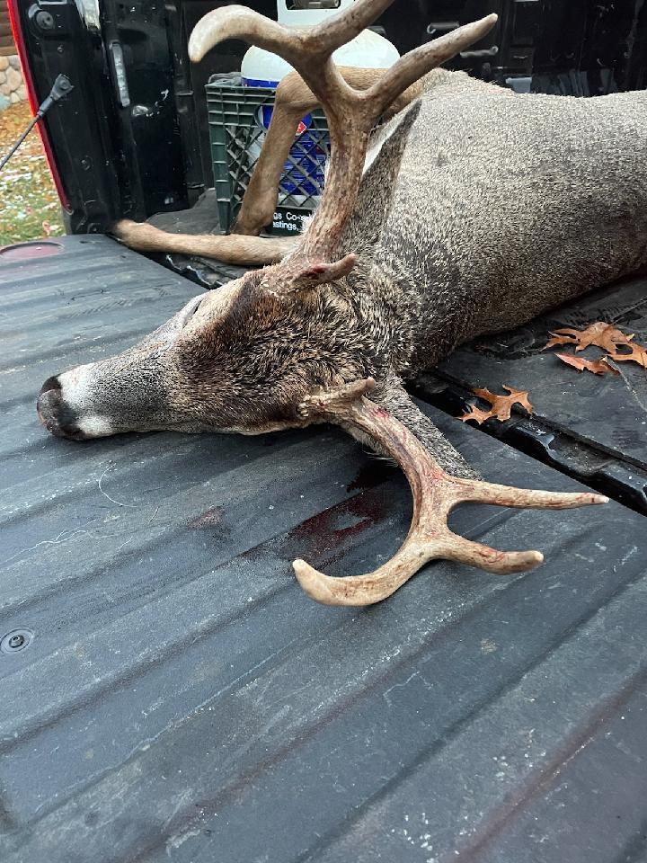 Xxx Bashaw Store Road Shell Lake, WI 54871 - Photo 26 of 40 Gallery Image 26