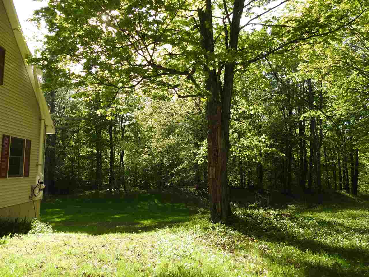 680 E Road Tinmouth, VT 05773 - Photo 2 of 18 Gallery Image 2