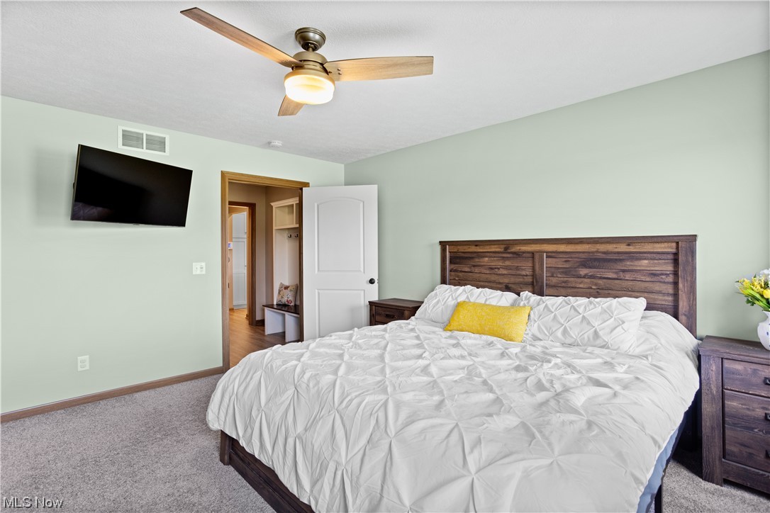 8810 Congress Road Lodi, OH 44254 - Photo 12 of 30 Master with view of barn door slider to bath