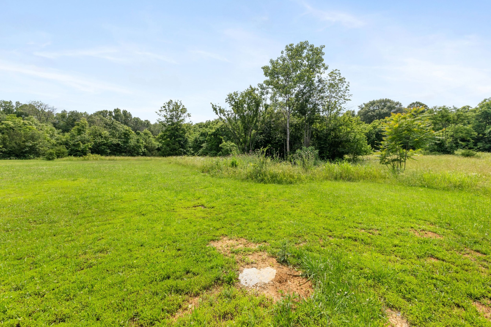 5435 Little Hope Road Murfreesboro, TN 37129 - Photo 19 of 21