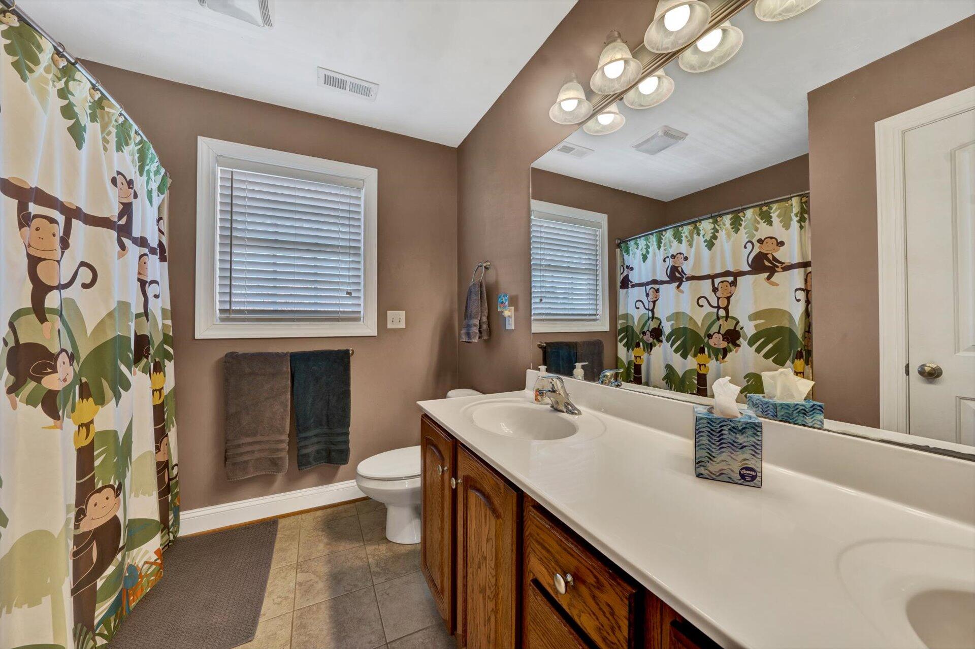 60 Green Level Road Boones Mill, VA 24065 - Photo 36 of 53 a bathroom with a sink a toilet and mirror