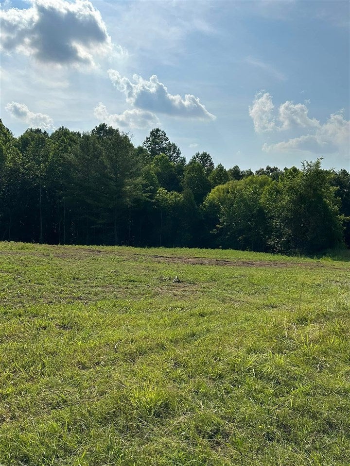 1386 Mercer Road Bowling Green, KY 42101 - Photo 8 of 13 Gallery Image 8