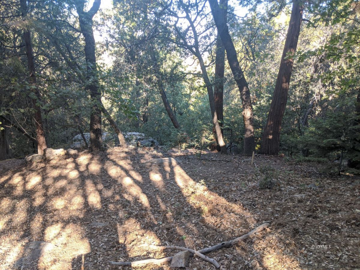 a view of outdoor space with trees