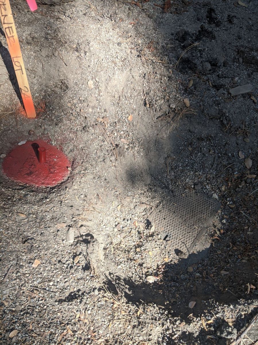 Laurel Trail Idyllwild, CA 92549 - Photo 12 of 12 a view of a dry yard