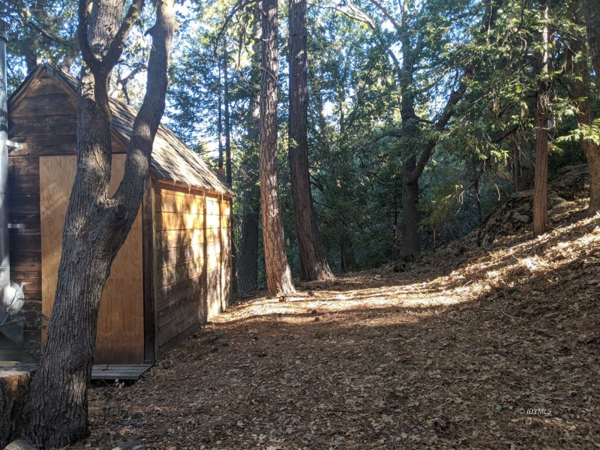 Laurel Trail Idyllwild, CA 92549 - Photo 3 of 12 a view of outdoor space with trees
