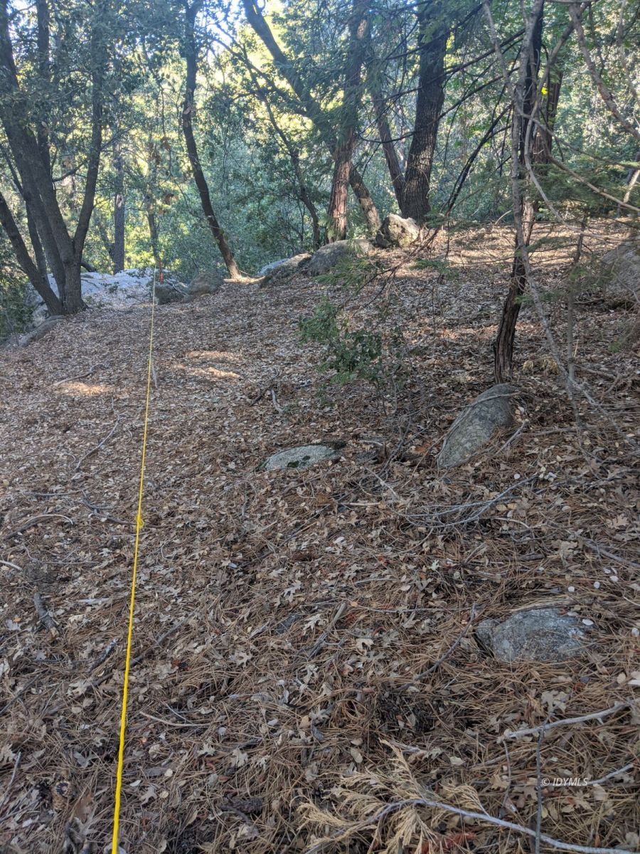 Laurel Trail Idyllwild, CA 92549 - Photo 4 of 12 a view of a forest with trees