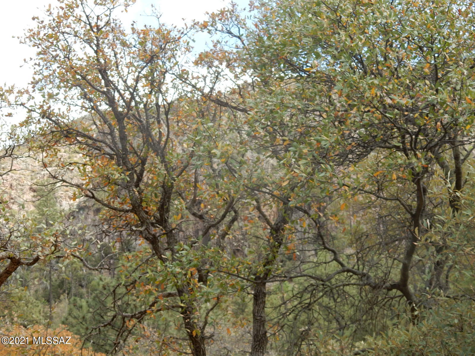 13208 East Turkey Creek Road Pearce, AZ 85625 - Photo 10 of 26