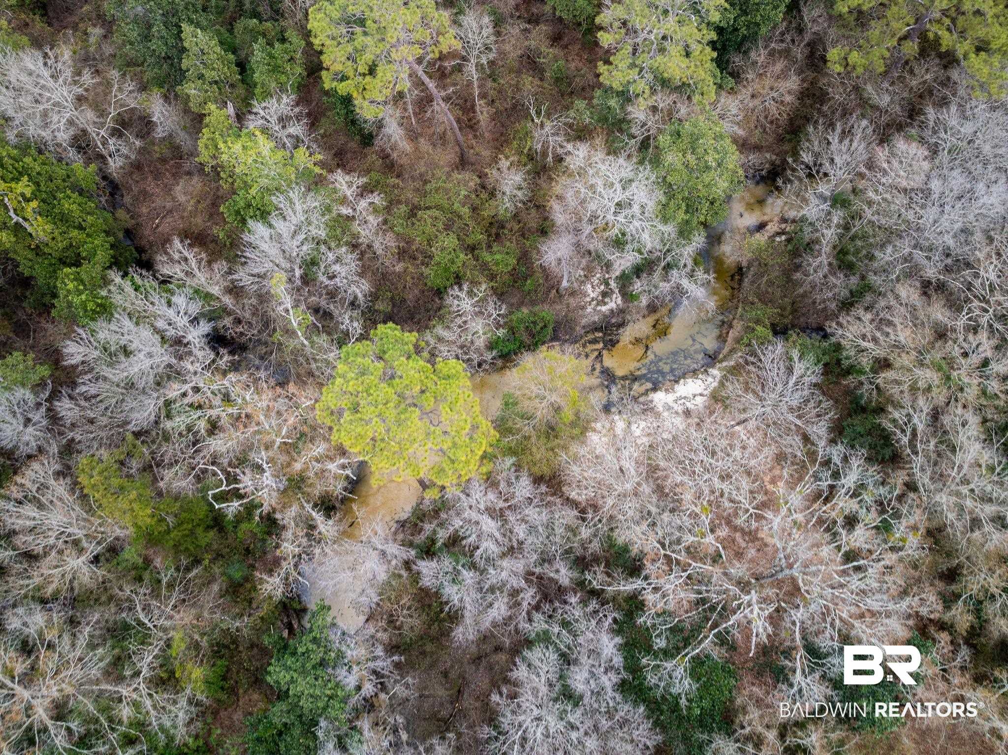 0 Holston Lane South Silverhill, AL 36576 - Photo 15 of 16