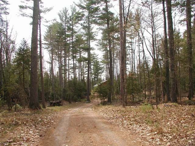 3605 Monheim Road Conover, WI 54519 - Photo 3 of 14 Gallery Image 3