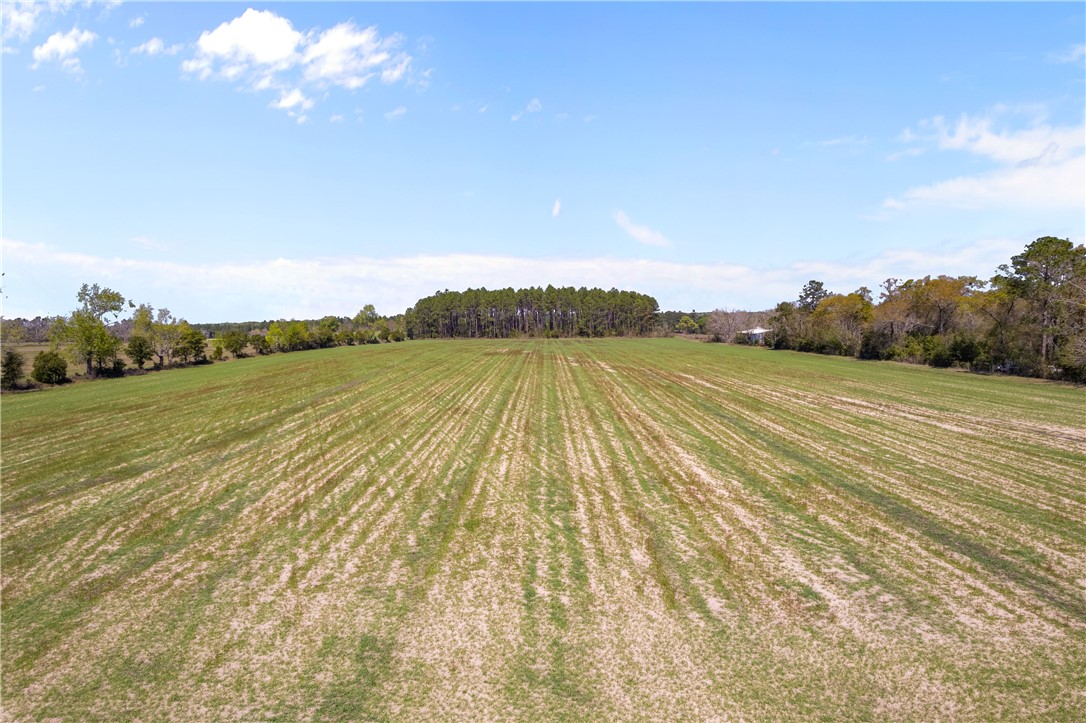 1 Hubert Johns Road Jesup, GA 31545 - Photo 5 of 17