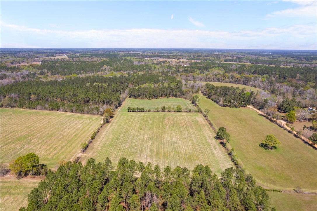 1 Hubert Johns Road Jesup, GA 31545 - Photo 6 of 17