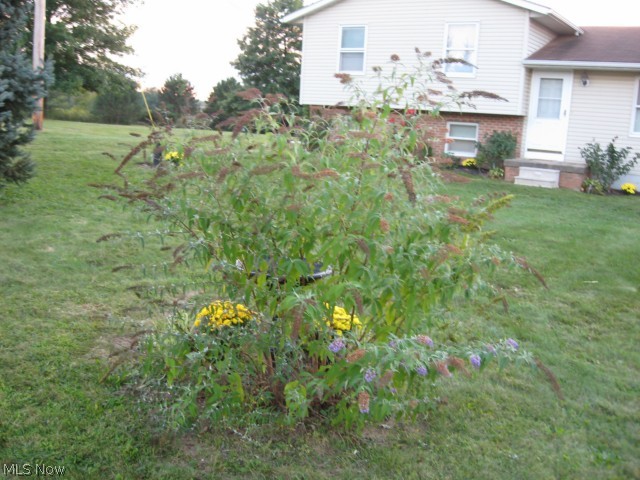8489 Weaver Road Ravenna, OH 44266 - Photo 22 of 23 Gallery Image 22
